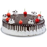 THOMS VANILLA CHOCOLATE-249